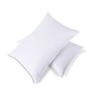 Oreiller naturel 30% duvet de canard, confort ferme et moelleux._2