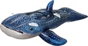 Merveilleuse Baleine à enfourcher 183 cm 41482
