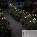 LUMIERE DE LUCIOLE - FIREFLY LIGHTS 32 LED