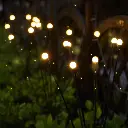 Décoration lumineuse LED de jardin