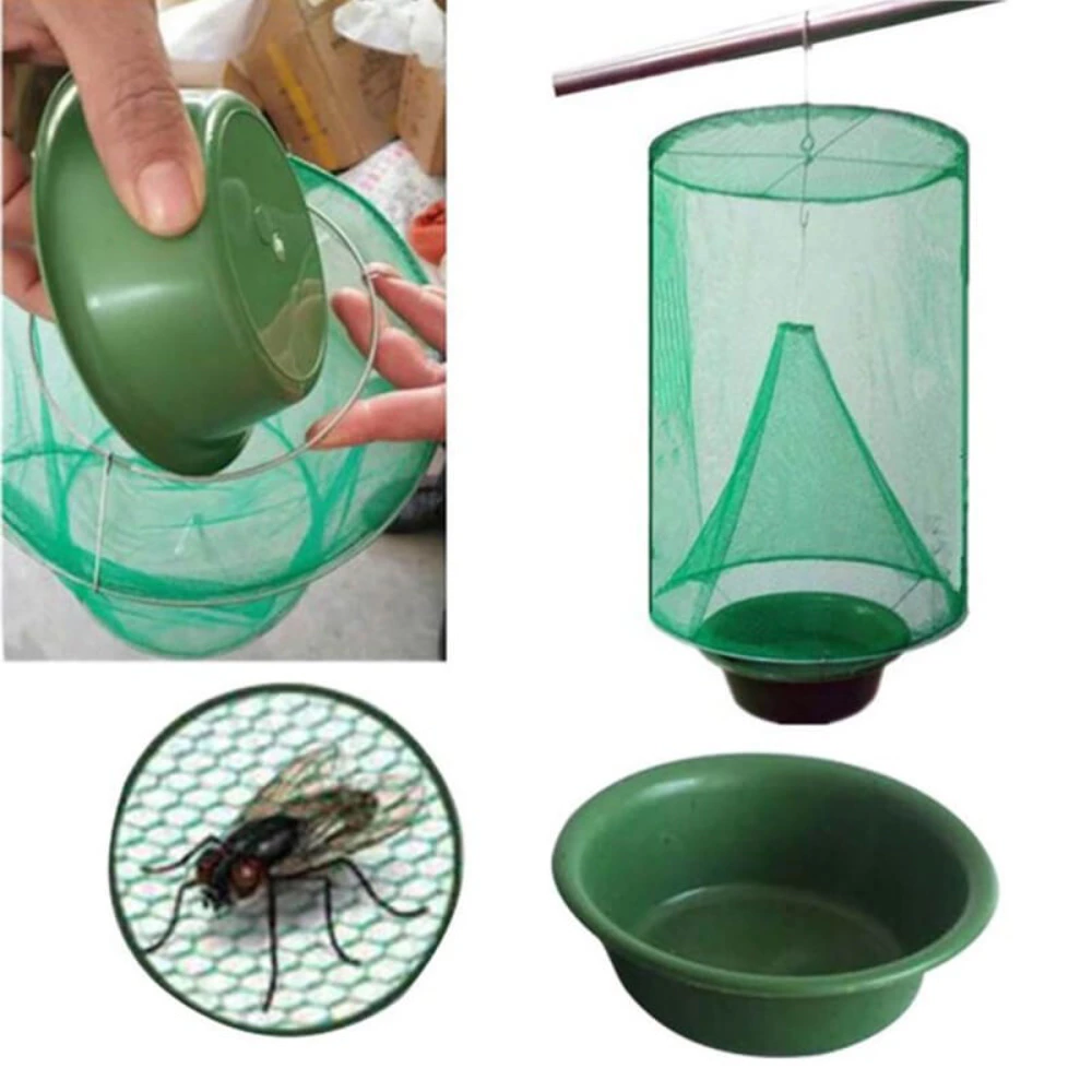 fly Trap