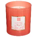 Bougie votive verre mael expo assiette 190g