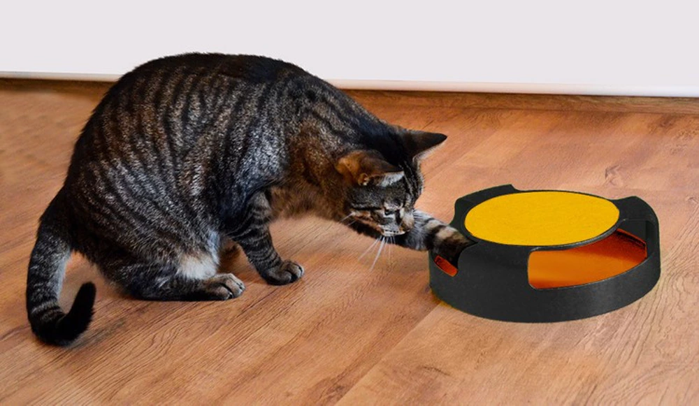 Peluche en plastique Catch the Mouse pour chat