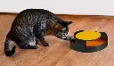 Peluche en plastique Catch the Mouse pour chat