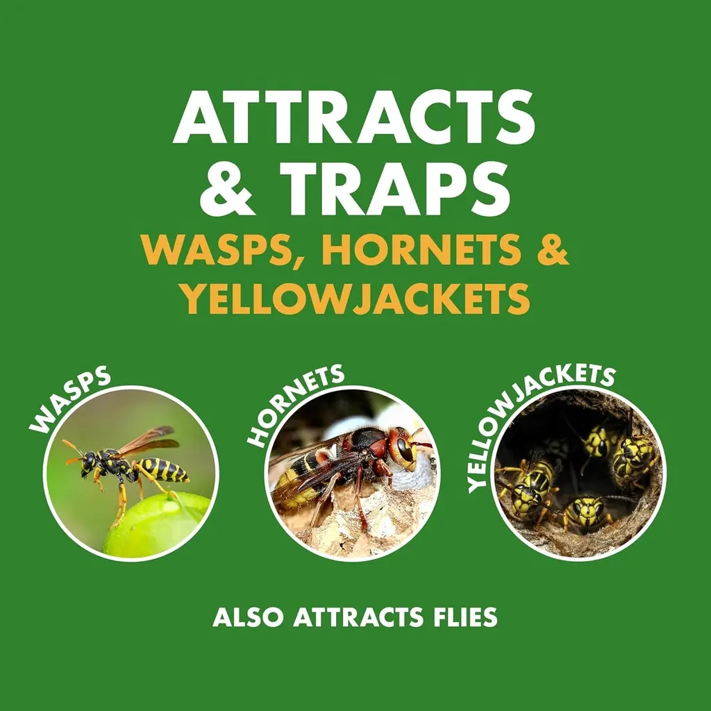 TRAP- Piege Spectracide Wasp & Hornet- Anti Guepes 13.5oz +0.25oz