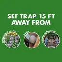 TRAP- Piege Spectracide Wasp & Hornet- Anti Guepes 13.5oz +0.25oz