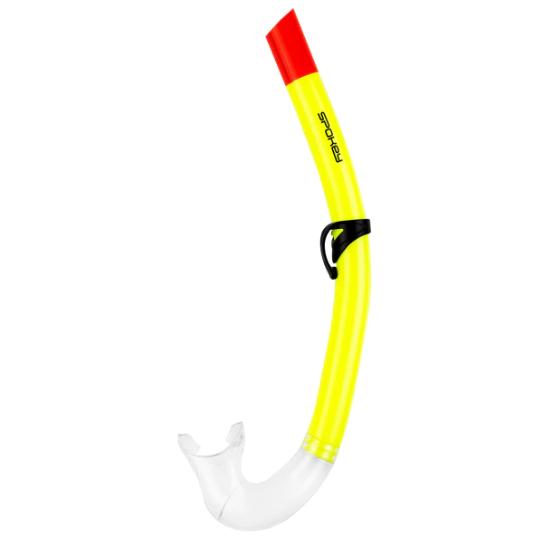 kit palmes, masque et tuba 