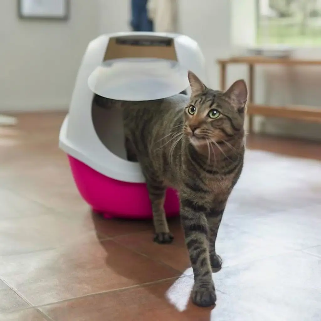 FRISCO 21" Bac à litière pour chat à couvercle(54.6*39.1*40.4cm) 