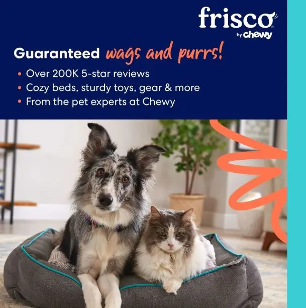 FRISCO Jouet pour chien en peluche Candlabre qui couine