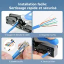 RJ45 CAT6 pack de 50