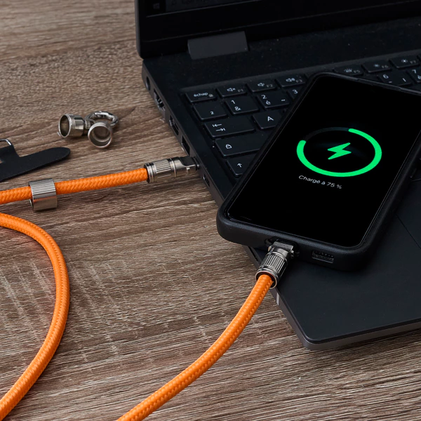 Cordon de téléphone chargeur 2-en-1 USB-C vers USB-C, lot de 2