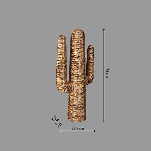 Cactus jacinthe Haci H75, beige