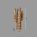 Cactus jacinthe Haci H75, beige