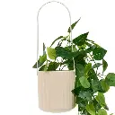 Plante suspendue avec pot en ceramique Pool hauteur 82 cm beige
