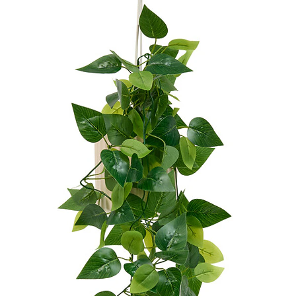 Plante suspendue avec pot en ceramique Pool hauteur 82 cm beige