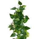 Plante suspendue avec pot en ceramique Pool hauteur 82 cm beige