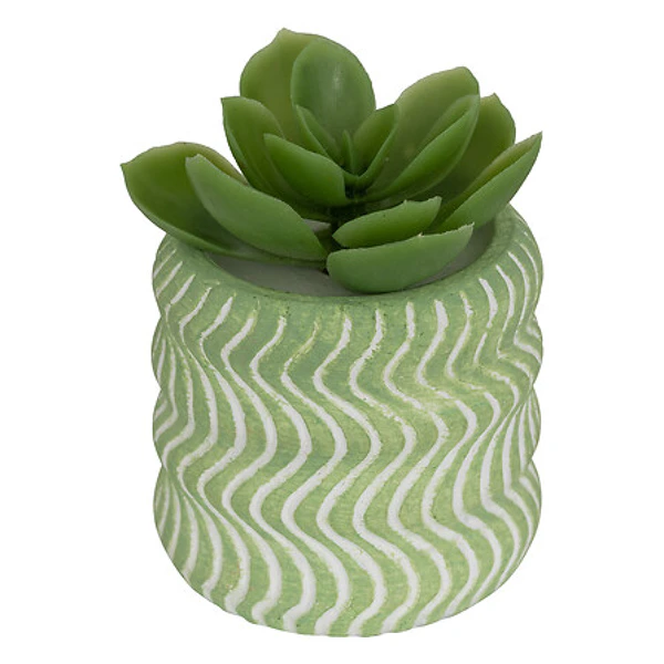 Mini plante grasse artificielle Ubi hauteur 7 cm 8 modeles assortis
