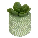 Mini plante grasse artificielle Ubi hauteur 7 cm 8 modeles assortis