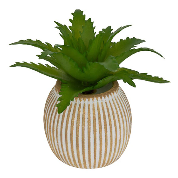 Mini plante grasse artificielle Ubi hauteur 7 cm 8 modeles assortis