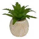 Mini plante grasse artificielle Ubi hauteur 7 cm 8 modeles assortis