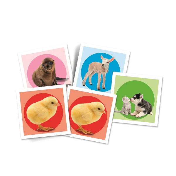 Jeu de memoire Animal Baby 48 cartes Clementoni