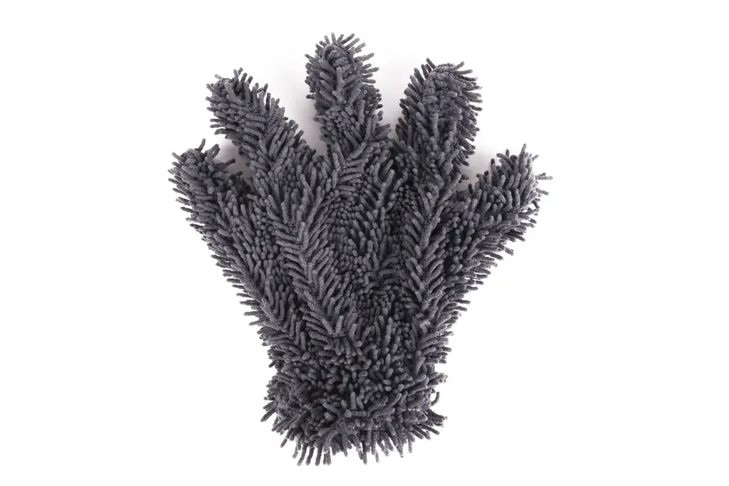 Car wash glove