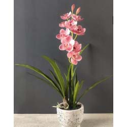 61cm ARTIFICIAL PINK BOAT ORCHID 