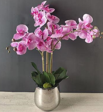 66cm ARTIFICIAL PINK ORCHID *3 STEMS 