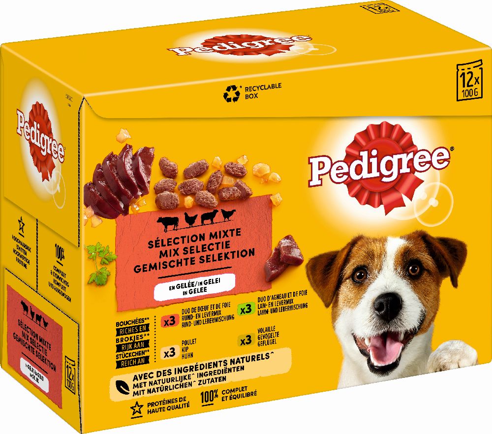 Pedigree adult selection mixte 12x100g