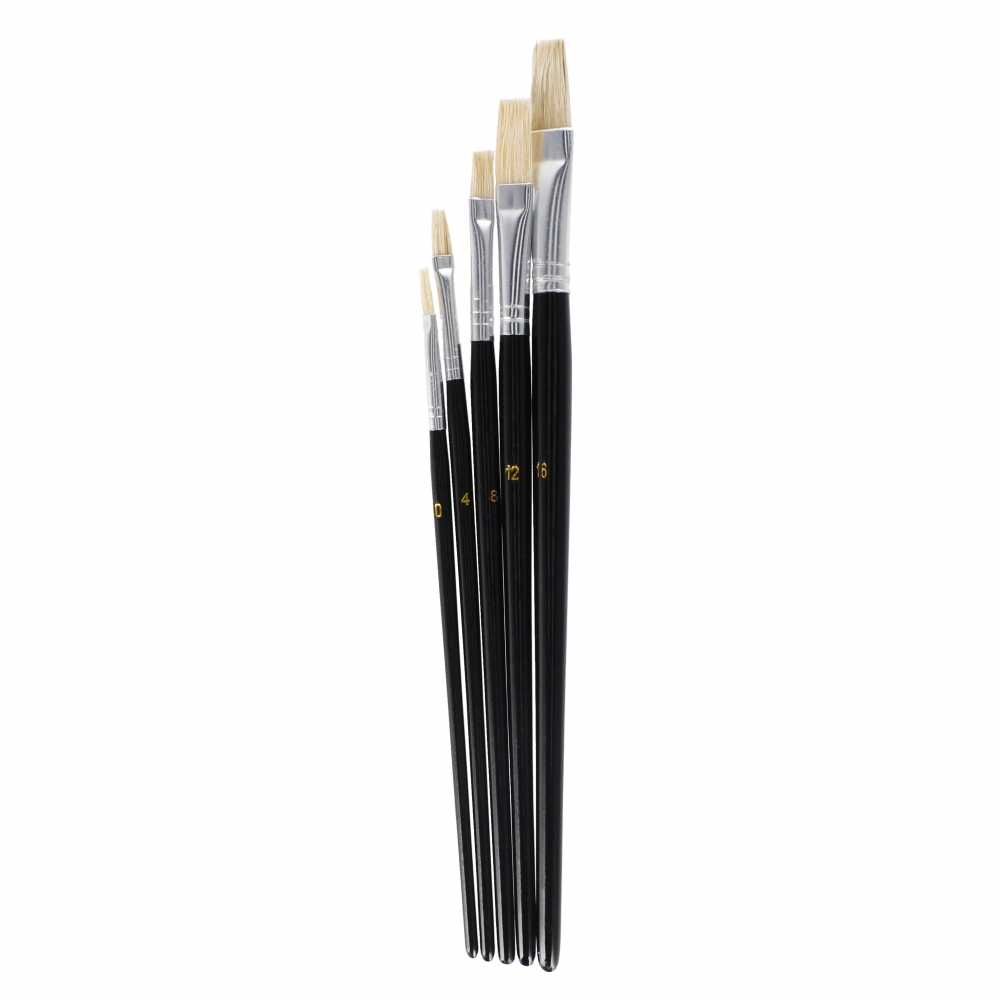 Pinceaux scolaires 5pcs 