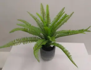 FA 31cm FERN WITH POT