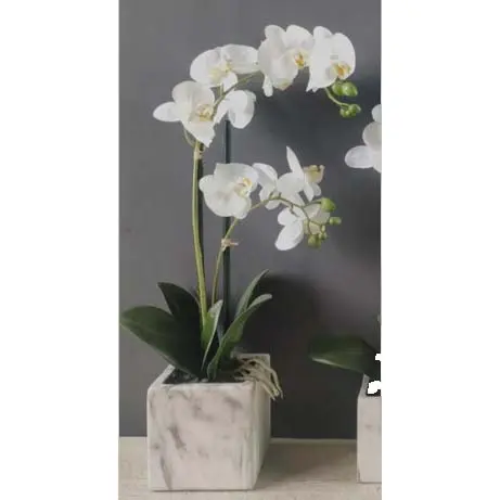 [FAORCH] FA 56cm WHITE ORCHID