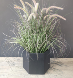 FA 61cm PENNISETUM