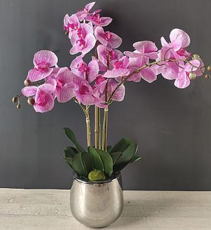 FA 66cm ORCHIDÉE ROSE 3TIGES