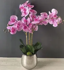 [FAROSE] FA 66cm PINK ORCHID 3 STEMS