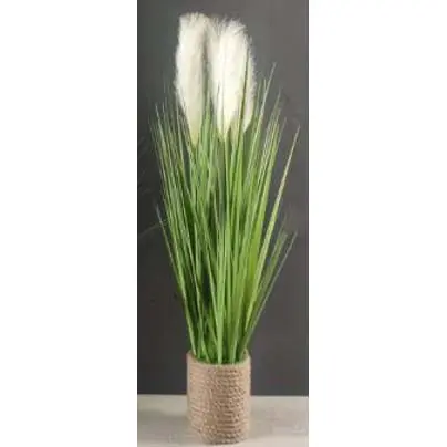 [FAHERB] FA 81cm PAMPAS GRASS