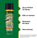Anti wasps spray