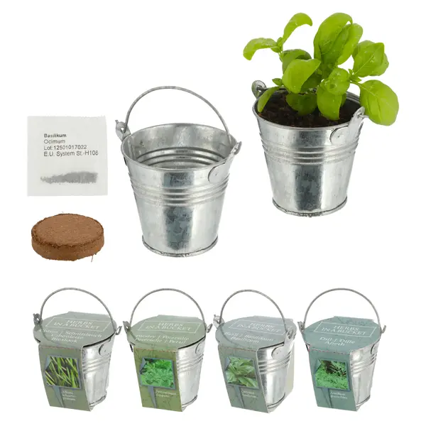 [69489 ZEN12] Mini zinc bucket with walnut swelling cushion