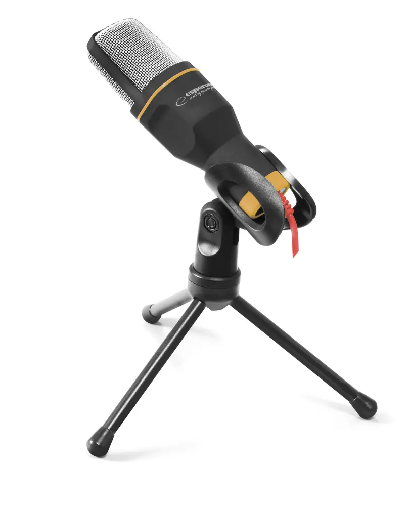 Microphone de studio professionnel