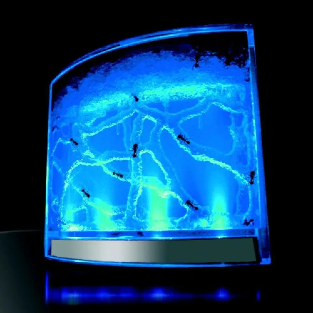LED-lit ant habitat with nutrient gel, 17x14.5 cm