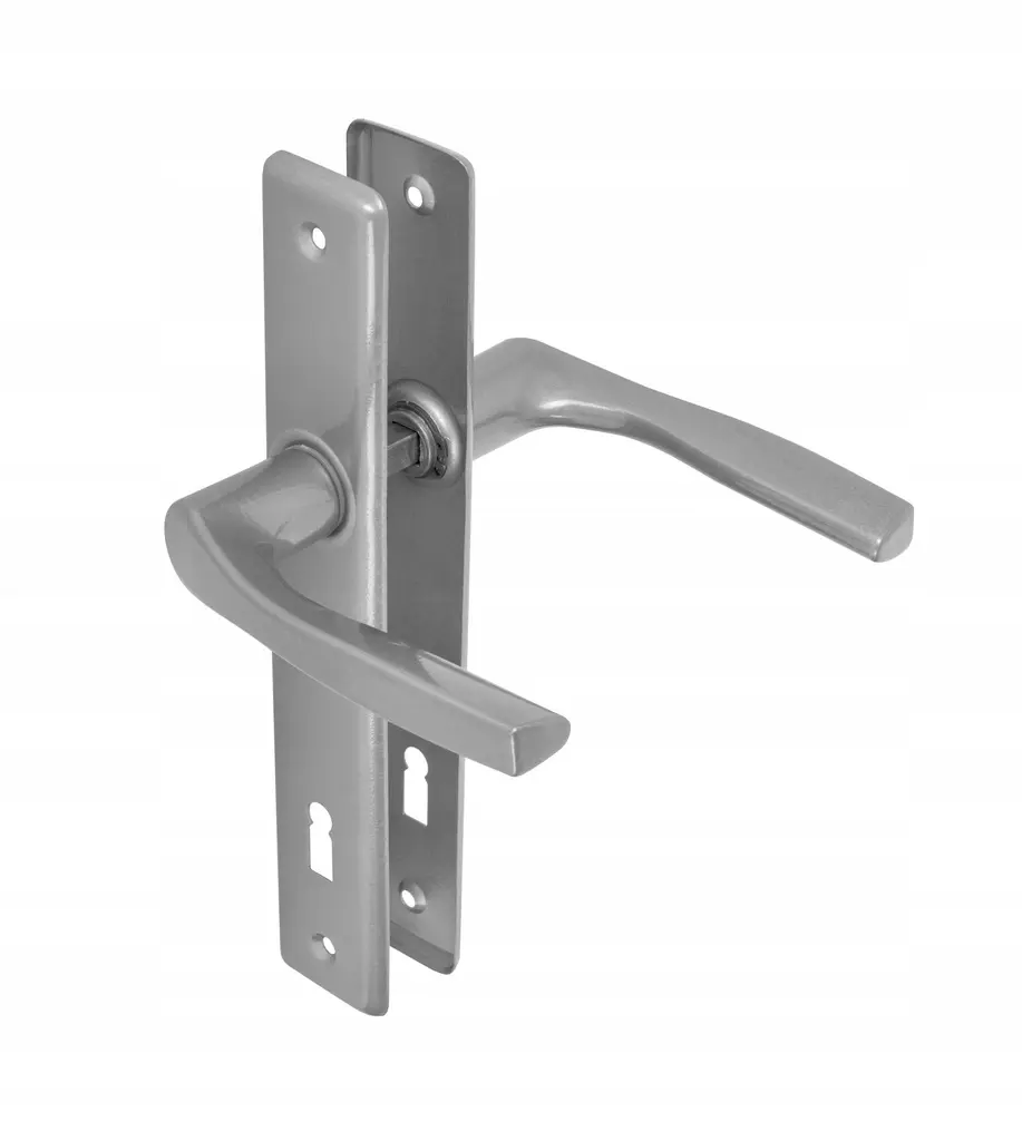 Poignee de porte pour la porte 72, clé argentée