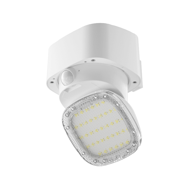 MARCH 2 - 2000 Lumens