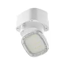 [SWL-12] MARCH 2 - 2000 Lumens