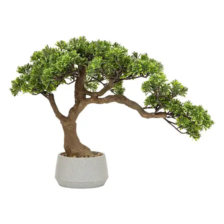 [206548 ZEN28] Bonsai pot cramique 