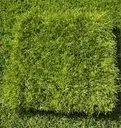 [HIG-009-2-63MM] Magic M Synthetic Grass 63mm Multidirectional - per m²