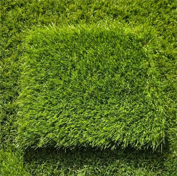 [075# 50MM] Magic M   50mm