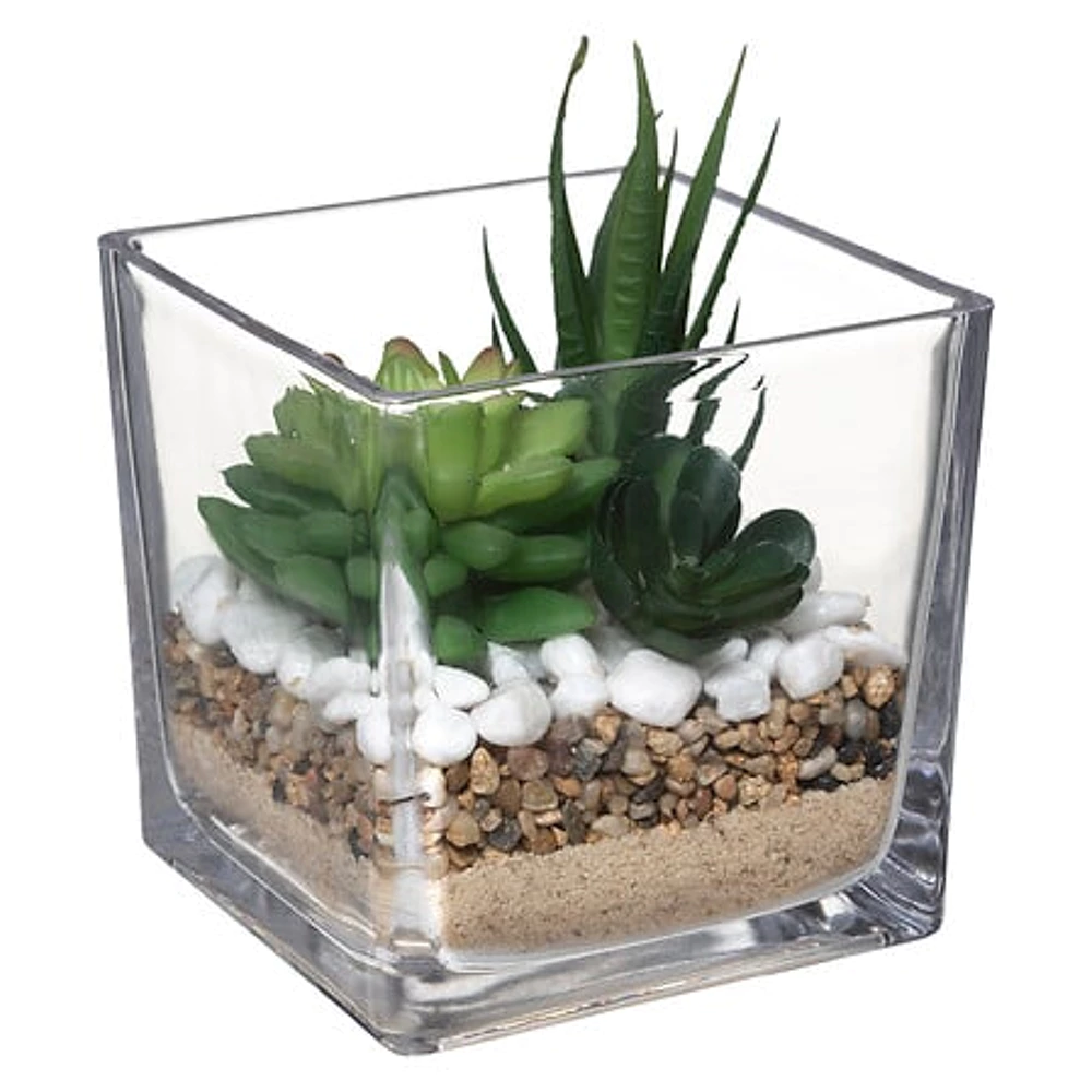 Terrarium plante en verre Tio H29,5 cm 