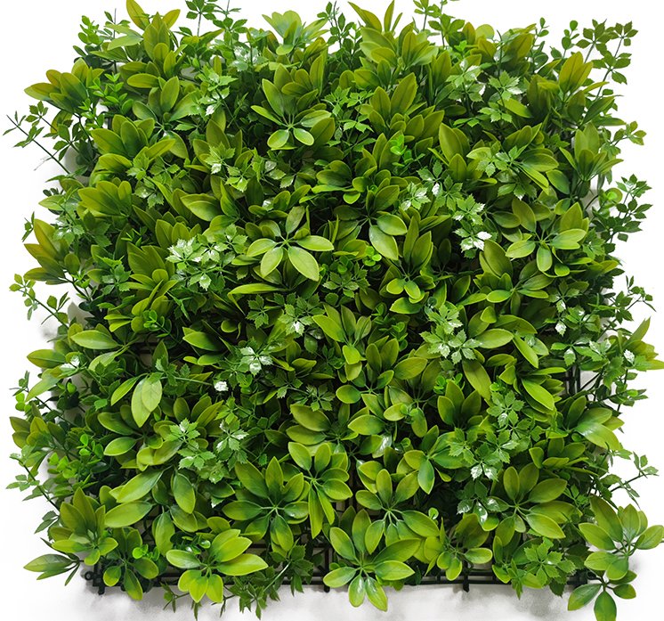 Prairie green wall