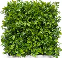 [YT50-0006] Prairie green wall