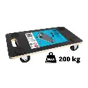 [CON-DTP-1600 ZEN35] Rectangular transport platform 600 x 300 mm 200kg